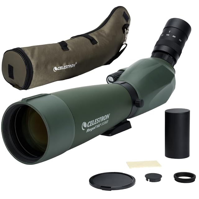 Celestron Regal M2 20-60x80 ED spotting scope in green
